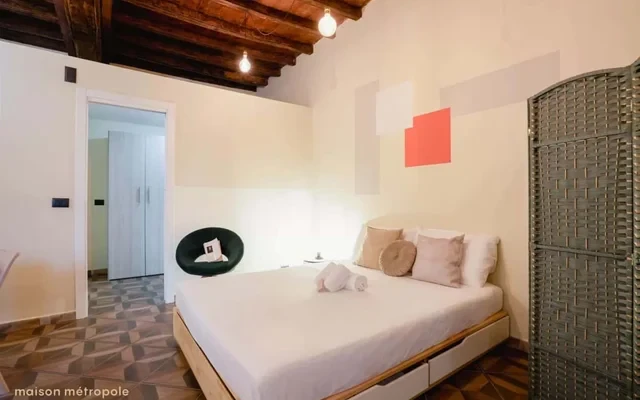 [Torino Centro] Rosine Loft 2