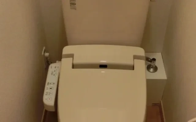 Leonext Sakura 3
