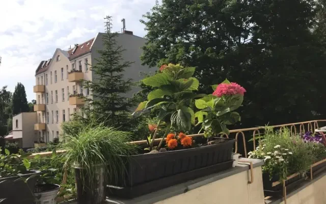 Bright flat with TOP transportation connection and balcony 0