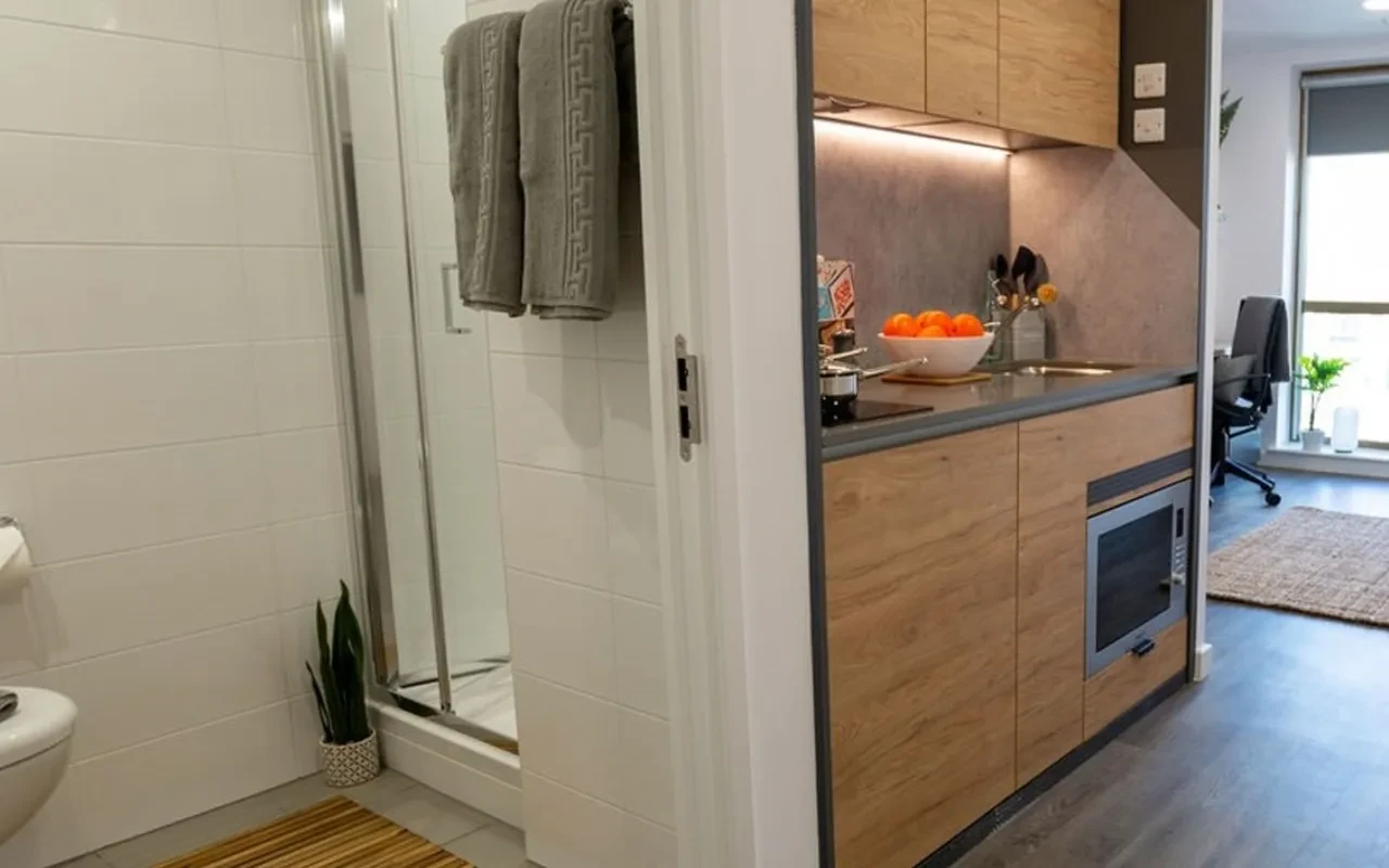 The Valentine Gants Hill London Student uhomes