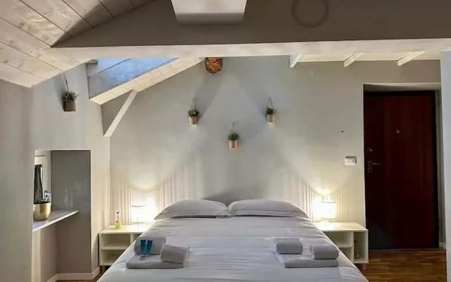 [Torino Centro] Romano Suite 2