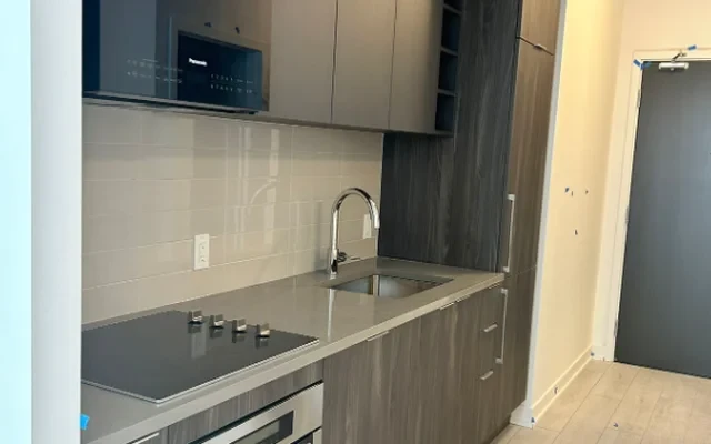 3909 - 2033 Kennedy Rd 2