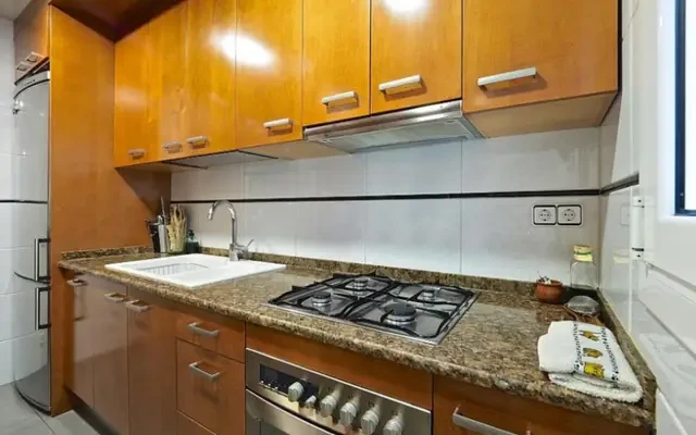 apartment in El Camp d'En Grassot i Gràcia Nova (Gràcia) 4