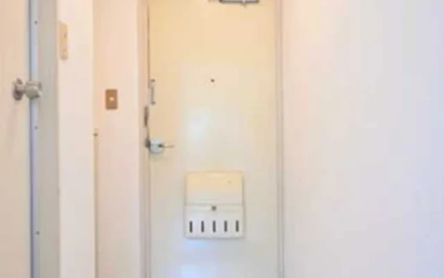 Dear Plaza Nezu 209 3