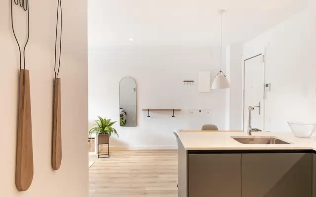 apartment in El Camp d'En Grassot i Gràcia Nova 0
