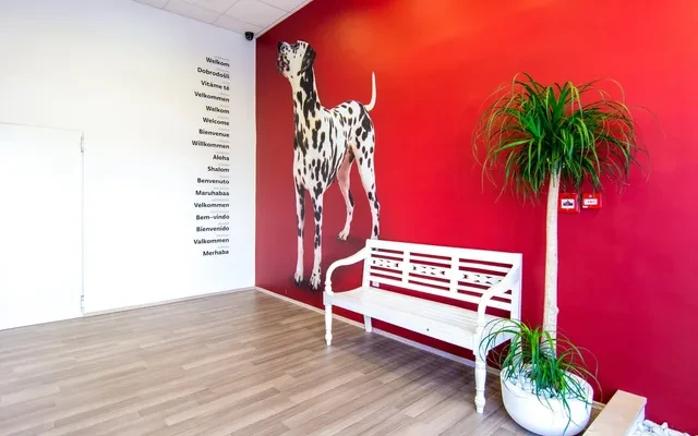 Bed in 6-Bed Dormitory Room in SPLIT (Ensuite bathroom) - Hostel in Split 3