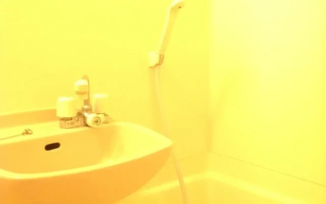 レオパレスＰＩＮＯ 1