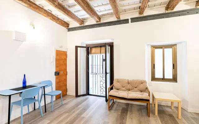 studio in Sant Pere, Santa Caterina and La Ribera (Old Town) 1