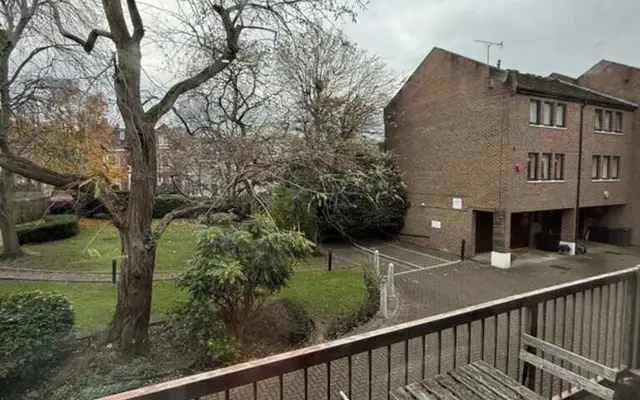 Cheryls Close 25733# 3