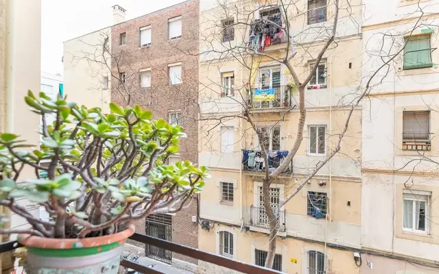 apartment in La Barceloneta (Ciutat Vella) 2