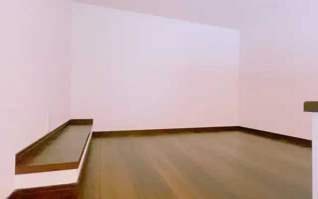 β 蕨 2
