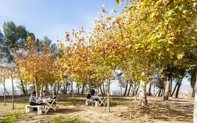 Amro Estudiantes Granada Campus 0