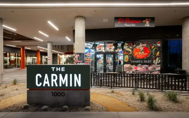 The Carmin 1