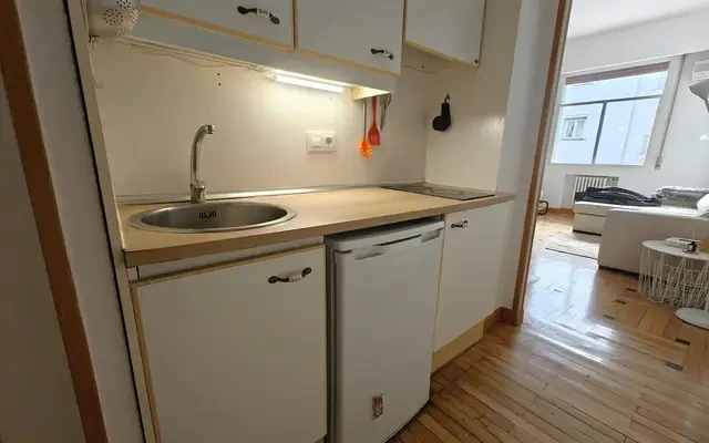 studio in Rios Rosas (Chamberi) 0