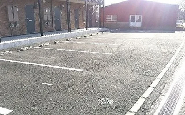 レオネクスト翼 1