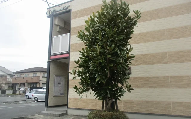 レオパレスサンフラワーⅢ 3