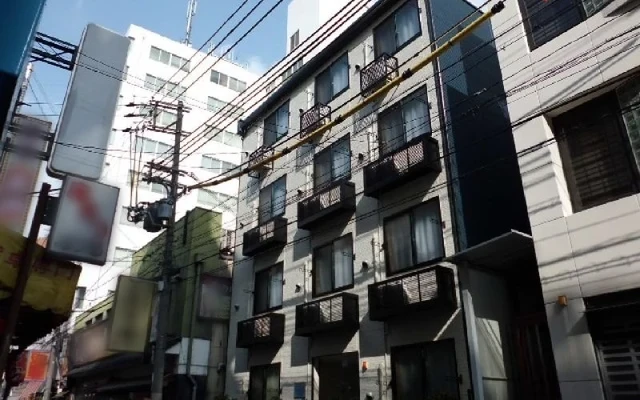 サンフラワー 4