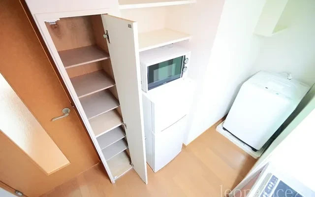 Leonext Sakura 4