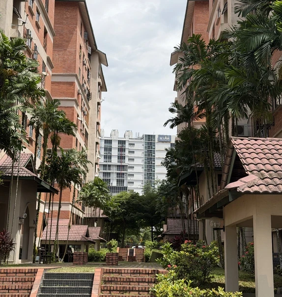 Evergreen Acorn & Hazel