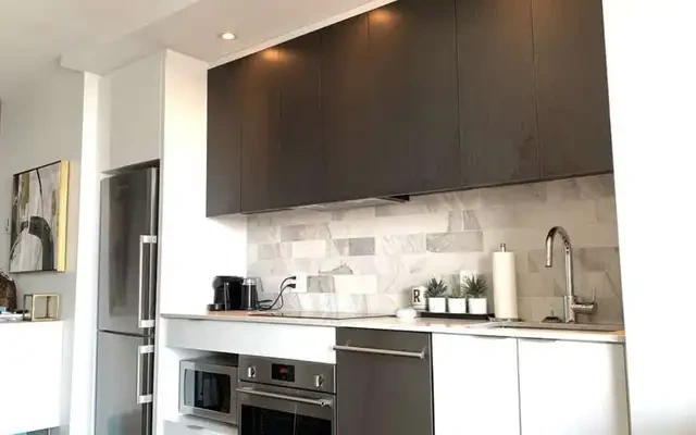 Ottawa one bedroom and one living room for rent 1
