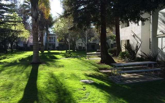 2B2B Apartment near San Jose State University 0
