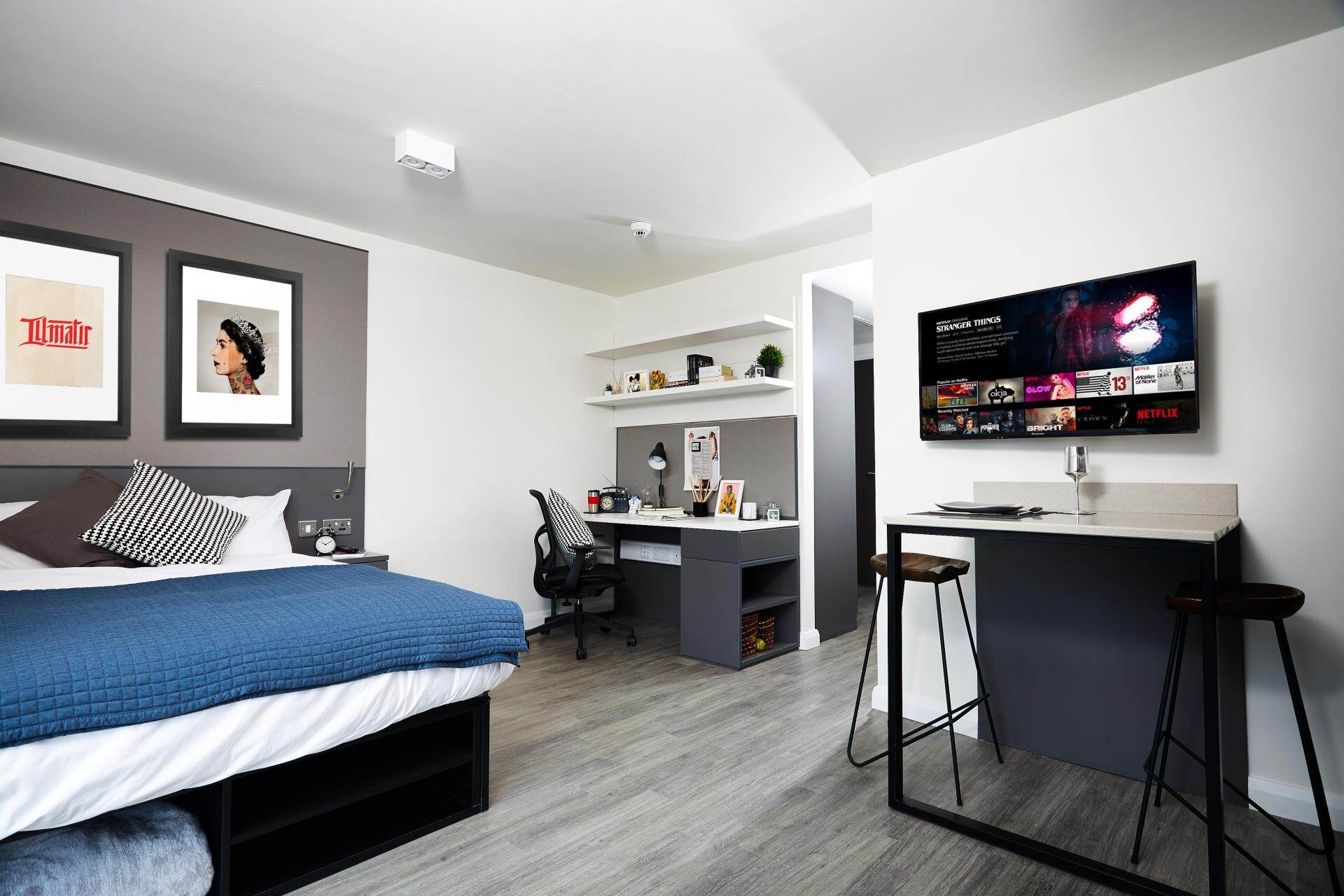 Platinum Accessible Studio