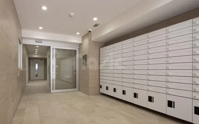 French Air Machida 4