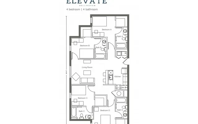 Elevate Bellingham 3