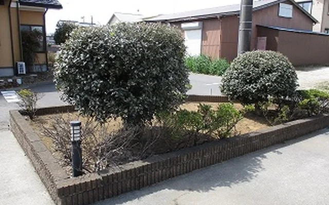 レオパレスさくら 1