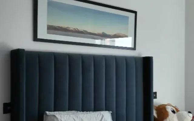 FH - Embassy Gardens - résidence étudiante à Londres - 2 Bedrooms 2 Bathrooms FlatD161