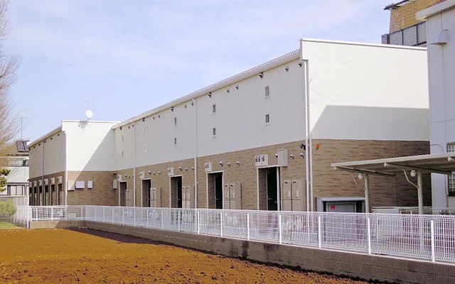 レオネクストルーチェ 0