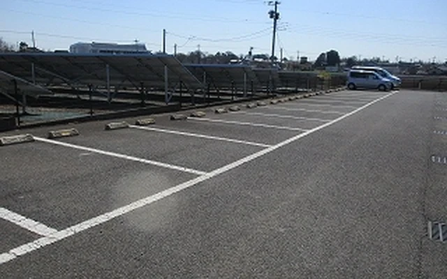レオネクストパーシモン 3