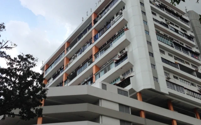 Bukit Timah Plaza 0