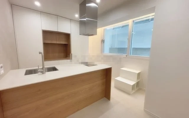 Split Open-Plan High-End Studio Apartment 0