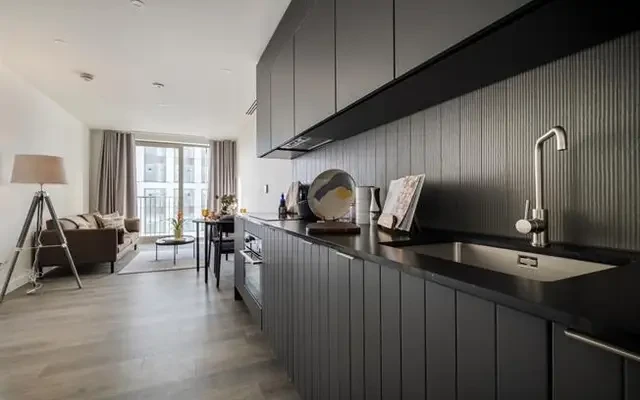 Cherry Park Lane, Stratford, London, E20 1NX 2