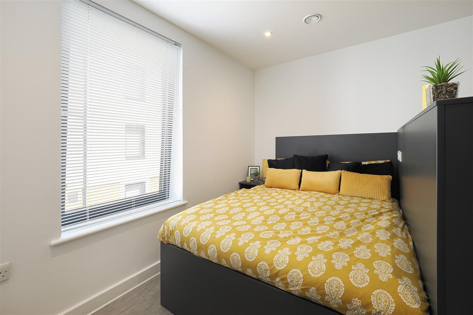 Davey - Studio Style A04