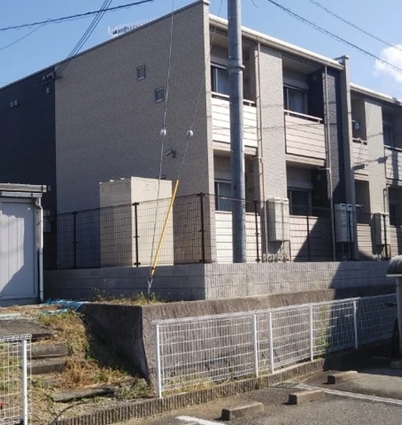 クレイノフェリス