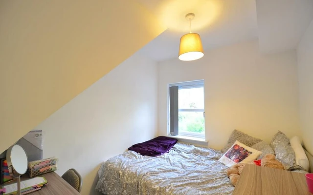 Entire Place·7B7B···247 Heeley Road, Selly Oak 3