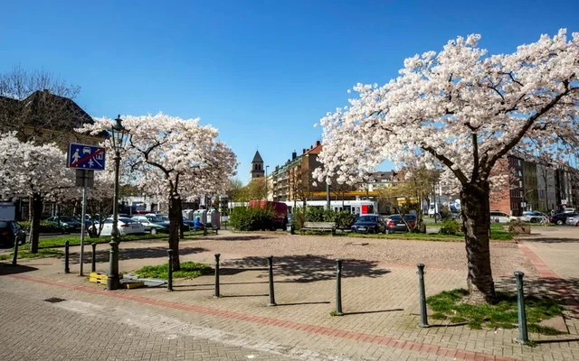 Sonnenstrasse 1