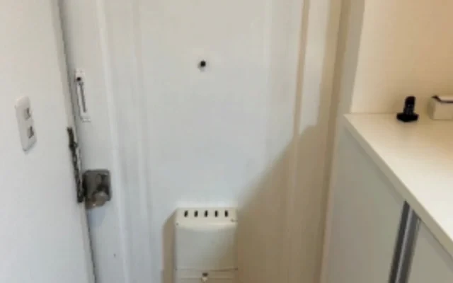 Reference Motosumiyoshi 1