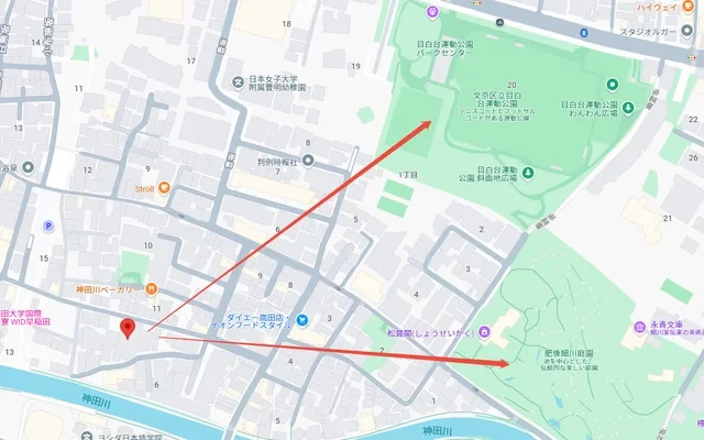 Livio Saison Waseda 2