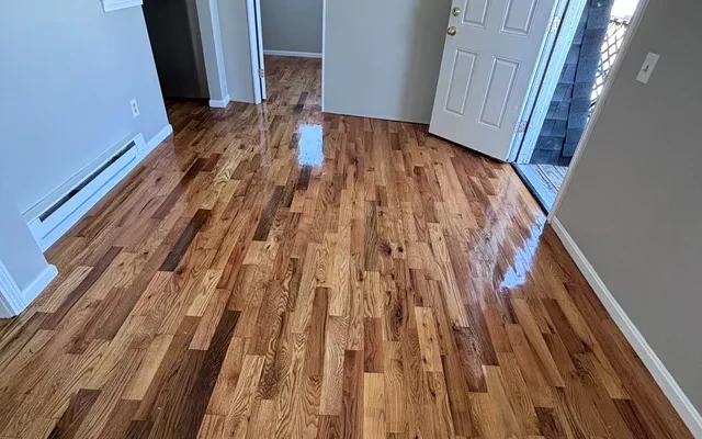 35 Roughan St., #5B, Revere - リヴェールの学生向け宿泊施設 - 1 Bed / 1 Bath