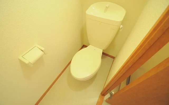 Leopalace Kanaoka Room 209 2