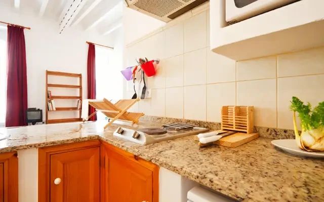 studio in El Raval (Ciutat Vella) 0