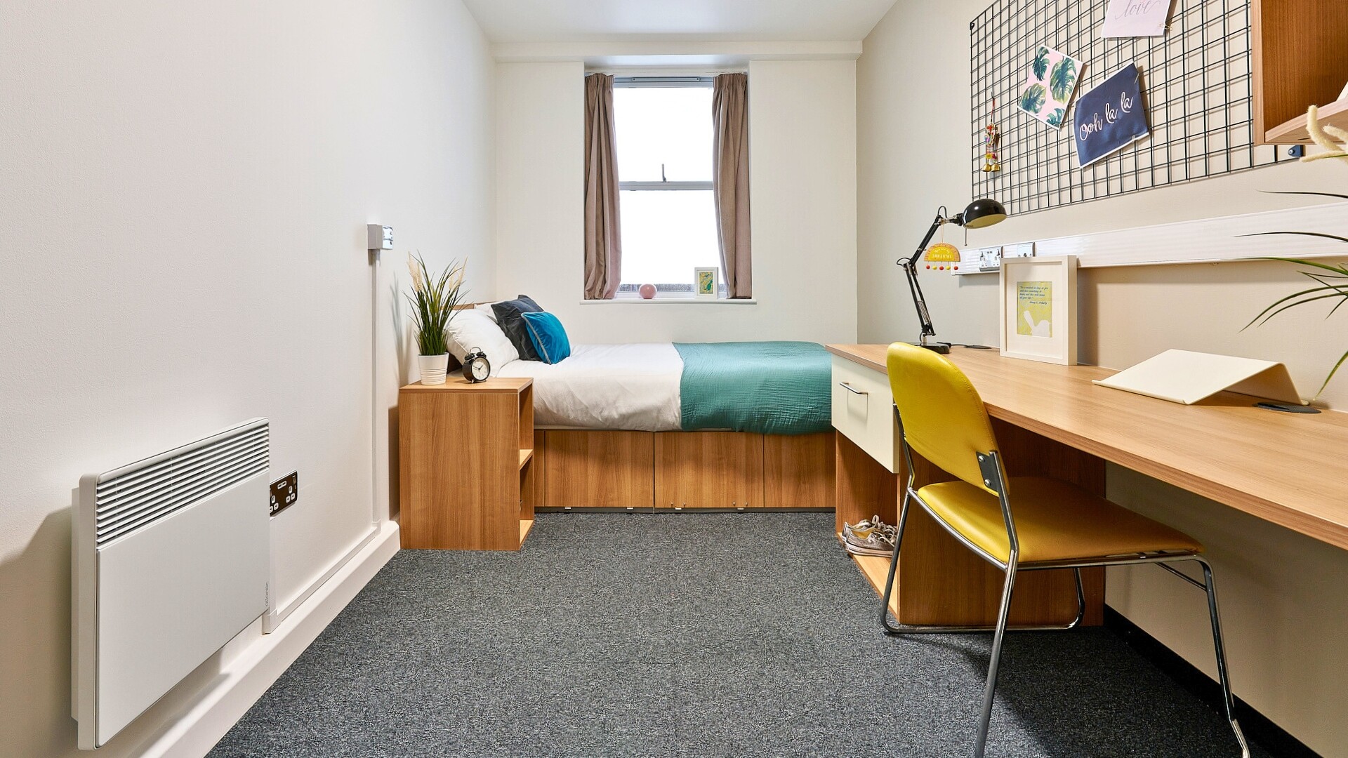 Classic Shared Apartment