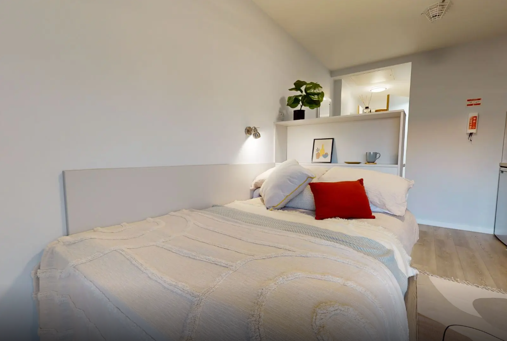 Bronze Studio Premium