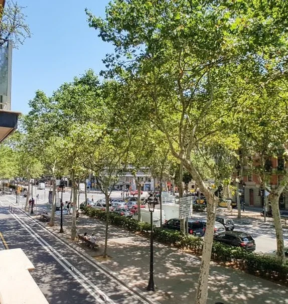 GRAN VIA DE LES CORTS CATALANES 515 PPAL 1 BARCELONA