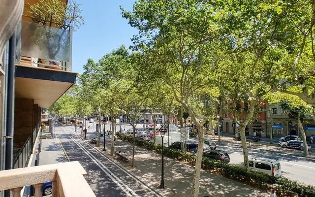 GRAN VIA DE LES CORTS CATALANES 515 PPAL 1 BARCELONA 1