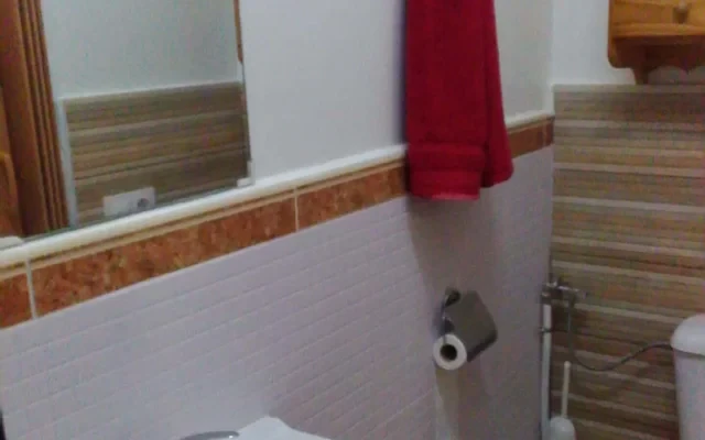 Se alquila  completamente equipado y amueblado 4