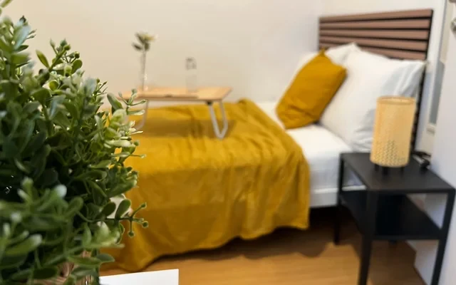 Apartment in the center of Madrid with 3 bedrooms and terrace  (4H0) 0